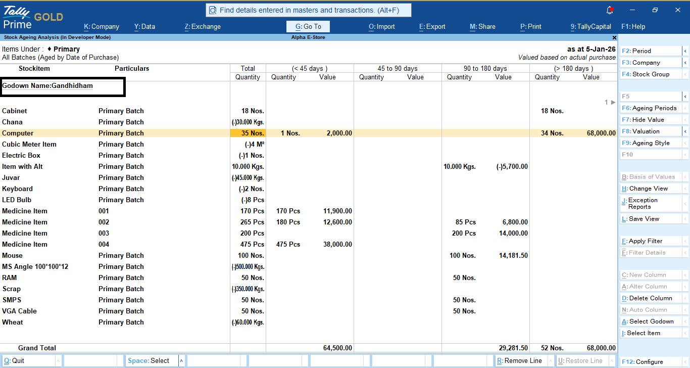 Godown Wise Item Ageing Analysis Report